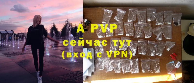 A-PVP VHQ  Бородино 